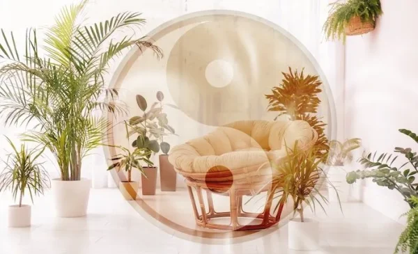 Feng Shui opleiding thuisstudie