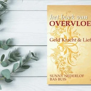 Overvloed cursus