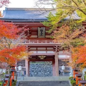 Reiki master opleiding - temple in Japan