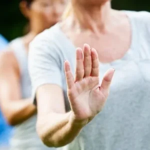 Shin-Do cursus energie