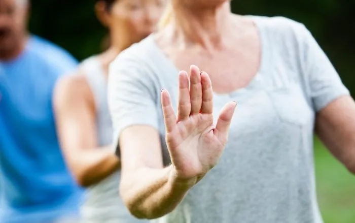 Shin-Do cursus energie