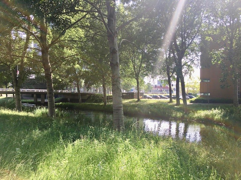 Nederlof centrum Almere groen rondom