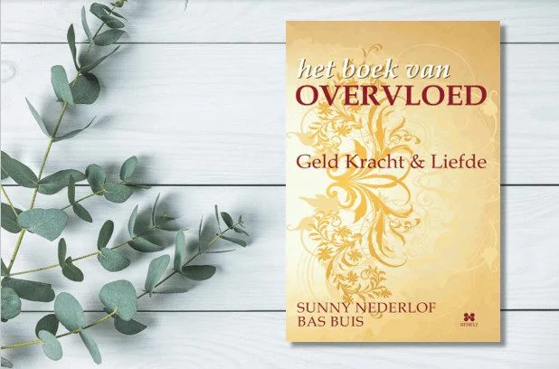 Overvloed cursus
